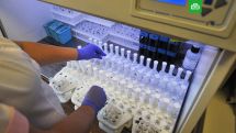 Georgia adds 2,501 new coronavirus cases