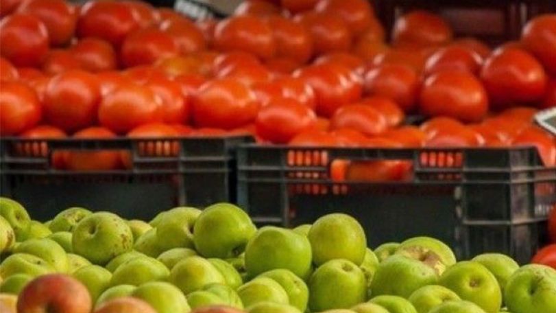 Russia to ban imports of tomatoes, apples from Azerbaijan