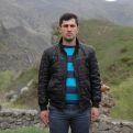 Варагян: Половина из 60 гектаров самой большой естественной платановой рощи на всем Кавказе перешла к Азербайджану