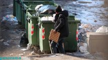 Աղբարկղից մի կտոր հաց գտնելու հույսով