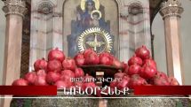 Mother See unveils New Year and Christmas schedule