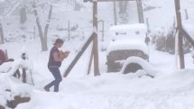Грузию засыпает снегом: в горах – не проехать