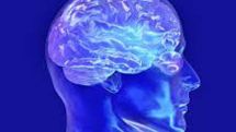 Scientists probe 'sex addict' brains