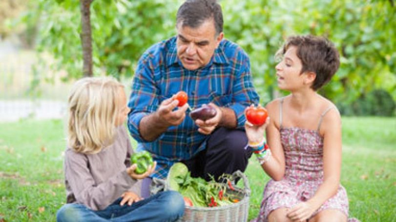 Organic fruit and veg really is good for your health, say food experts