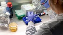Коронавирус в Грузии: за сутки выявлены 493 новых случая заражения