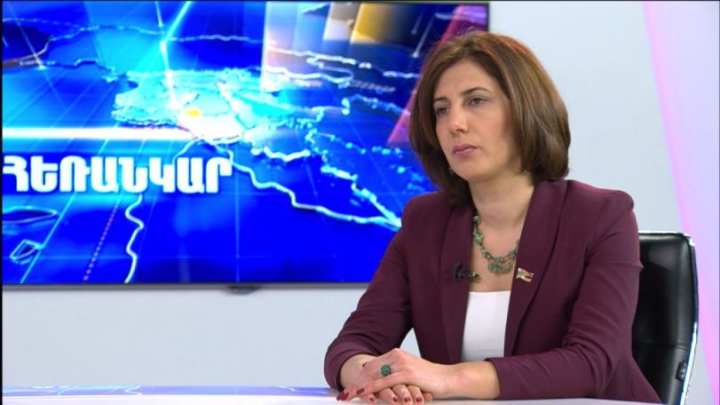 Սոֆյա Հովսեփյան. Բանակի դեմ դուրս գալ՝ սեփական ամբիցիաներից ելնելո՞վ