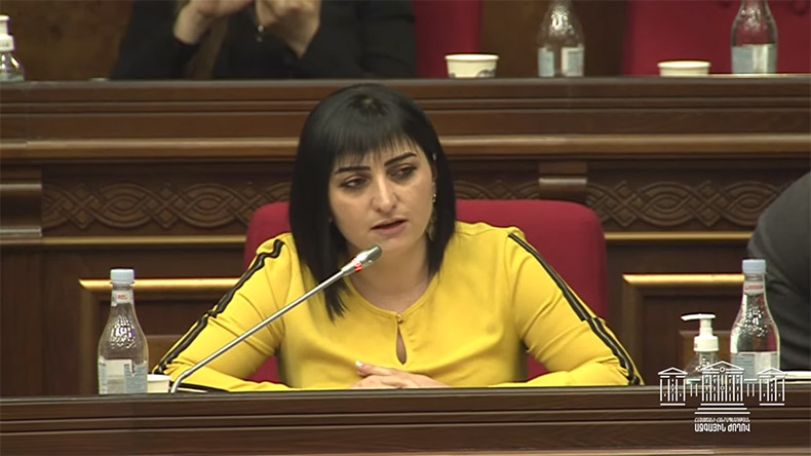 ԲՈւՀ-ը լինելու է կառավարության ներկայացուցչի քաղաքական քմահաճույքները կատարող կառույց. Թագուհի Թովմասյան