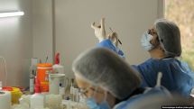 Georgia reports 528 fresh COVID-19 cases