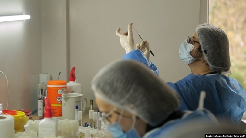 Georgia reports 528 fresh COVID-19 cases