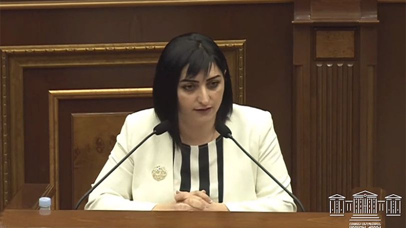 Թագուհի Թովմասյանը հերքեց ԿԳՄՍ նախարարի պնդումը, թե ռեկտորները համաձայն են նոր օրենքի նախագծին