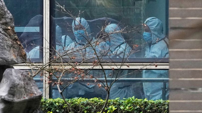 WHO report says animals likely source of COVID-19