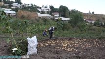 В 1998-2007 гг. в сфере сельского хозяйства был зарегистрирован двойной рост,  в 2018-2020 гг. – спад на 70 млрд драмов