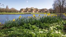 Queen opens Buckingham Palace gardens for picnics this summe
