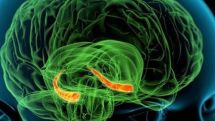 Similar memories benefit from 'extra space' in brain