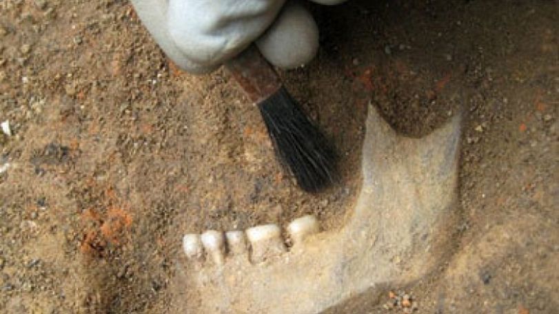 Is this one of Queen Boudicca's victims? : 'Extremely rare' jawbone found among burnt debris under a department store in Essex