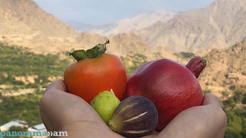 Ոռոգման ջուրը չեն տալիս, Ագարակի թուզն ու նուռը՝ վտանգի տակ