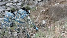 ГСЧС Арцаха: Обнаружены останки 2 военных, останки еще 3 военнослужащих передал Азербайджан