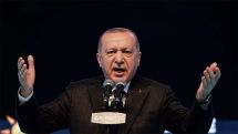 Песков представил, какая Турция нужна США