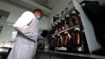 ԵՄ դեղագործական կարգավորիչը գնահատում է BioNTech և Pfizer պատվաստանյութերի անվտանգությունը 12-15 տարեկան երեխաների համար