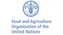 World food price index hits highest level since mid-2014 – FAO