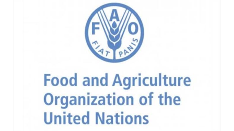 World food price index hits highest level since mid-2014 – FAO