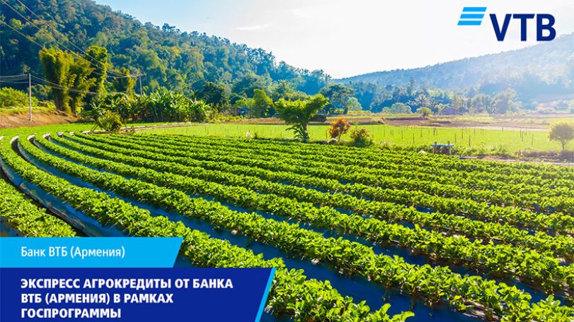 Экспресс агрокредиты от Банка ВТБ (Армения) в рамках госпрограммы
