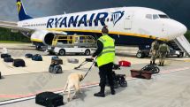 EU Leaders call for sanctions against Belarus over Ryanair 'hijacking' to detain journalist