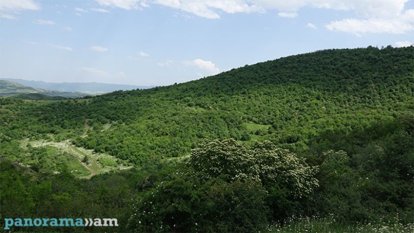 World Environment Day celebrated worldwide on June 5