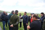 Կառավարությունն անթույլատրելի սխալներ է գործում իր քաղաքացիների իրավունքները երաշխավորելու հարցում. ՄԻՊ