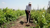 Russian peacekeepers provide security during agricultural work in Artsakh's Chartar village