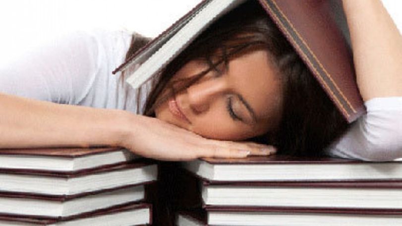 You can learn a foreign language in your sleep, study shows 