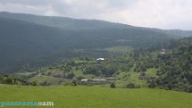 FAO, Ministry of Environment sign new agreement to increase Armenia’s forest cover