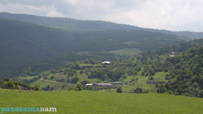 FAO, Ministry of Environment sign new agreement to increase Armenia’s forest cover
