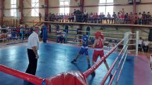 Հայաստանի բռնցքամարտի առաջնության մասնակիցների թիվն  այս տարի աննախադեպ է