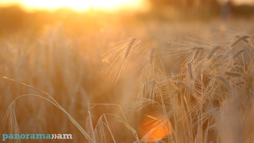 High thermal background predicted throughout the territory of Armenia