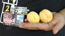 Golden Apricot  International Film Festival to take place in October