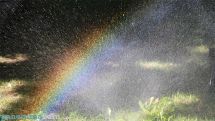 Short-term rain with thunderstorm predicted in the coming days