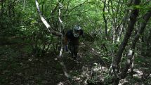 Two more bodies found during Artsakh search operations