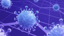 Число заражений COVID-19 в мире на утро субботы составило 186 063 825