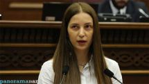 «Զանգեզուրի պղնձամոլիբդենային կոմբինատ»-ի նկատմամբ պետության նման քայլը կարելի է որակել հակապետական. Աննա Գրիգորյան