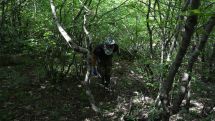 4 more bodies found in Artsakh search operations