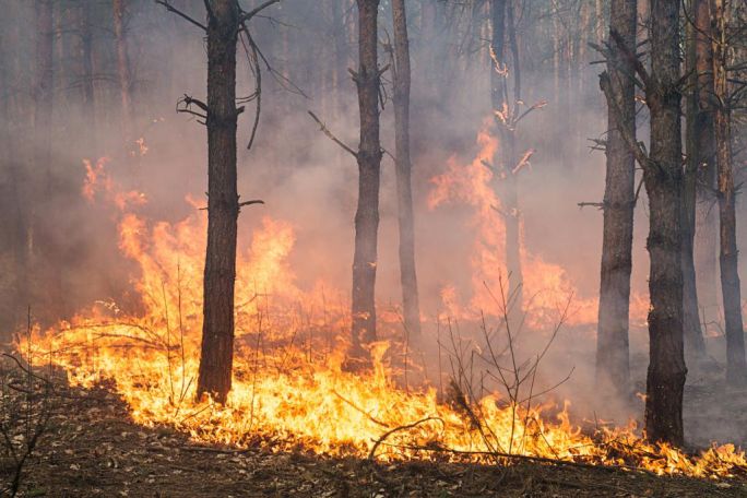 Из-за рекордной жары число пожаров в Армении возросло