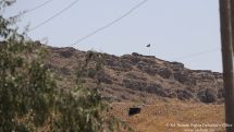 Ombudsman: Azerbaijani forces open fire at several villages in Armenia’s Gegharkunik