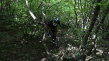 02.08.2021. С района Варанда эвакуированы останки еще четырех военнослужащих