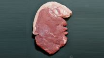 Художник выиграл конкурс карикатур с фото куска мяса в виде головы Трампа