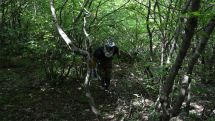 No bodies found in Friday's search for Artsakh war casualties