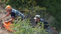 No bodies found during search operations in Artsakh's Mataghis-Talish direction
