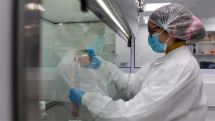 Ученые нашли вещество, тормозящее размножение вируса SARS-CoV-2