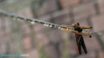Air temperature to go up by 2-4 degrees in the coming days in Armenia