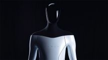 Elon Musk says Tesla humanoid robot will arrive next year